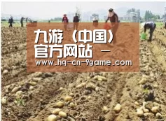 种植基地一