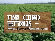 种植基地五(图1)